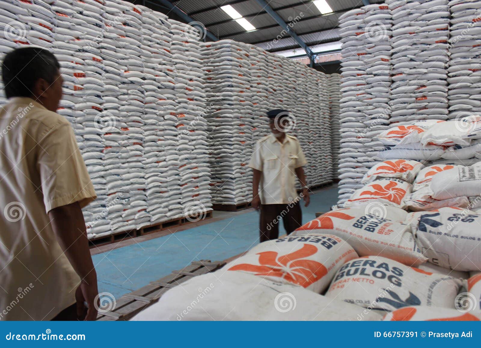 Thai Rice Export – Premium Thai Rice Exporter | B2B Solutions